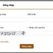 api decode giải mã captcha trang thuế https://hoadondientu.gdt.gov.vn/